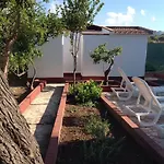 Rosa *
