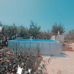 Rosa Castellammare del Golfo